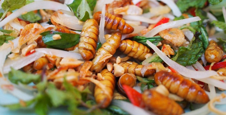 manger-vers-a-soie-vietnam