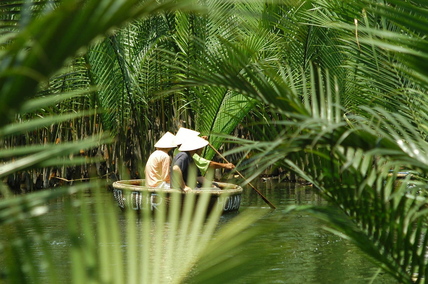 visiter water coconut hoi an