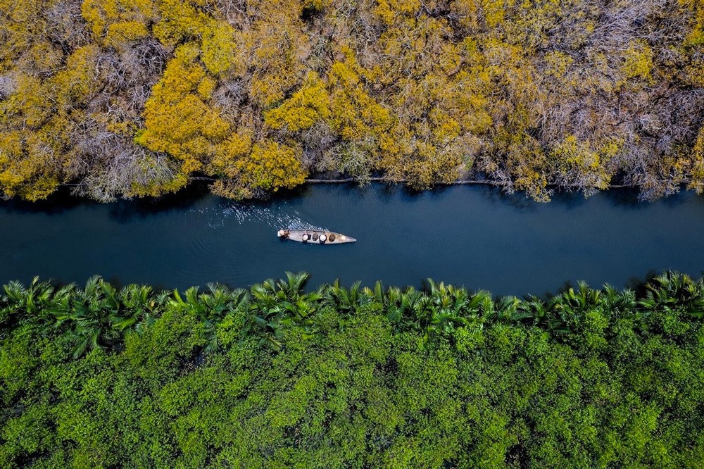mangrove vietnam hue