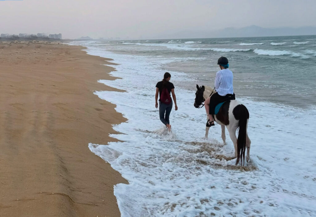 chval equitation danang