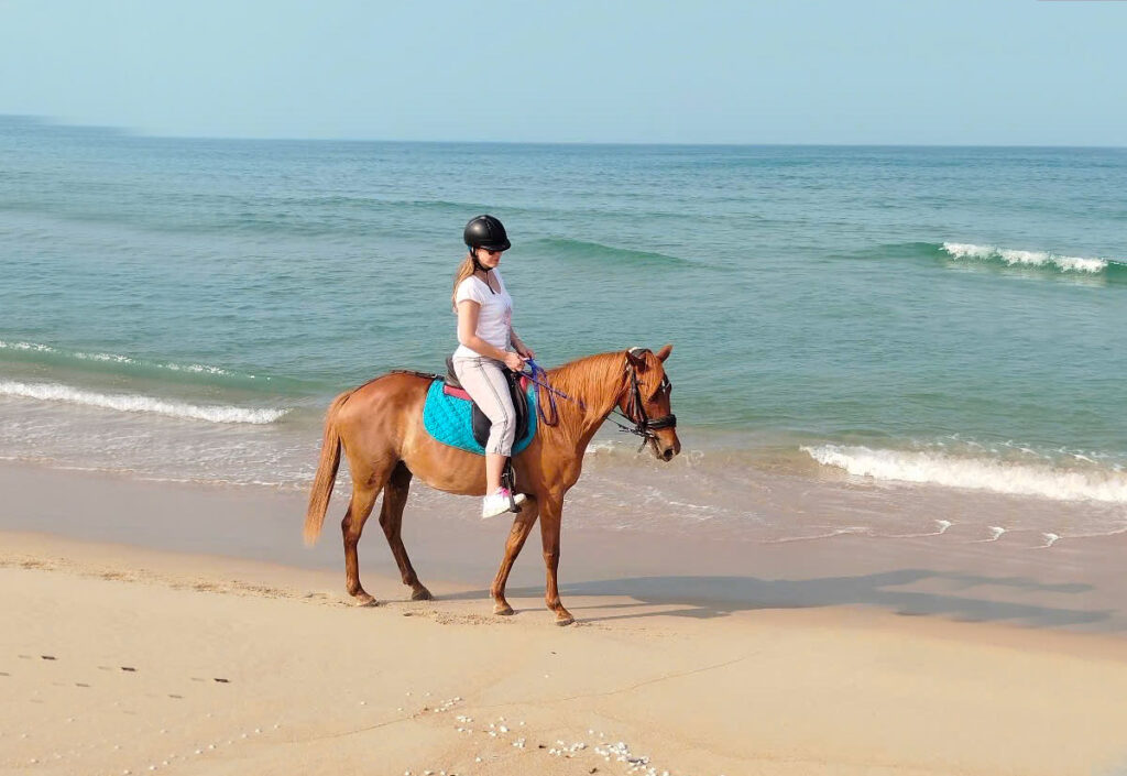 equitation da nang cheval