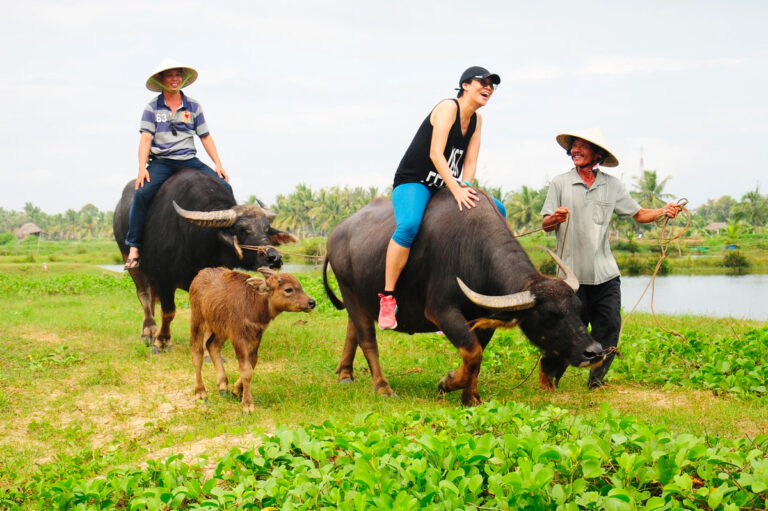 Mon expérience d&rsquo;une balade à vélo à Cam Thanh et Tra Que | Hoi An