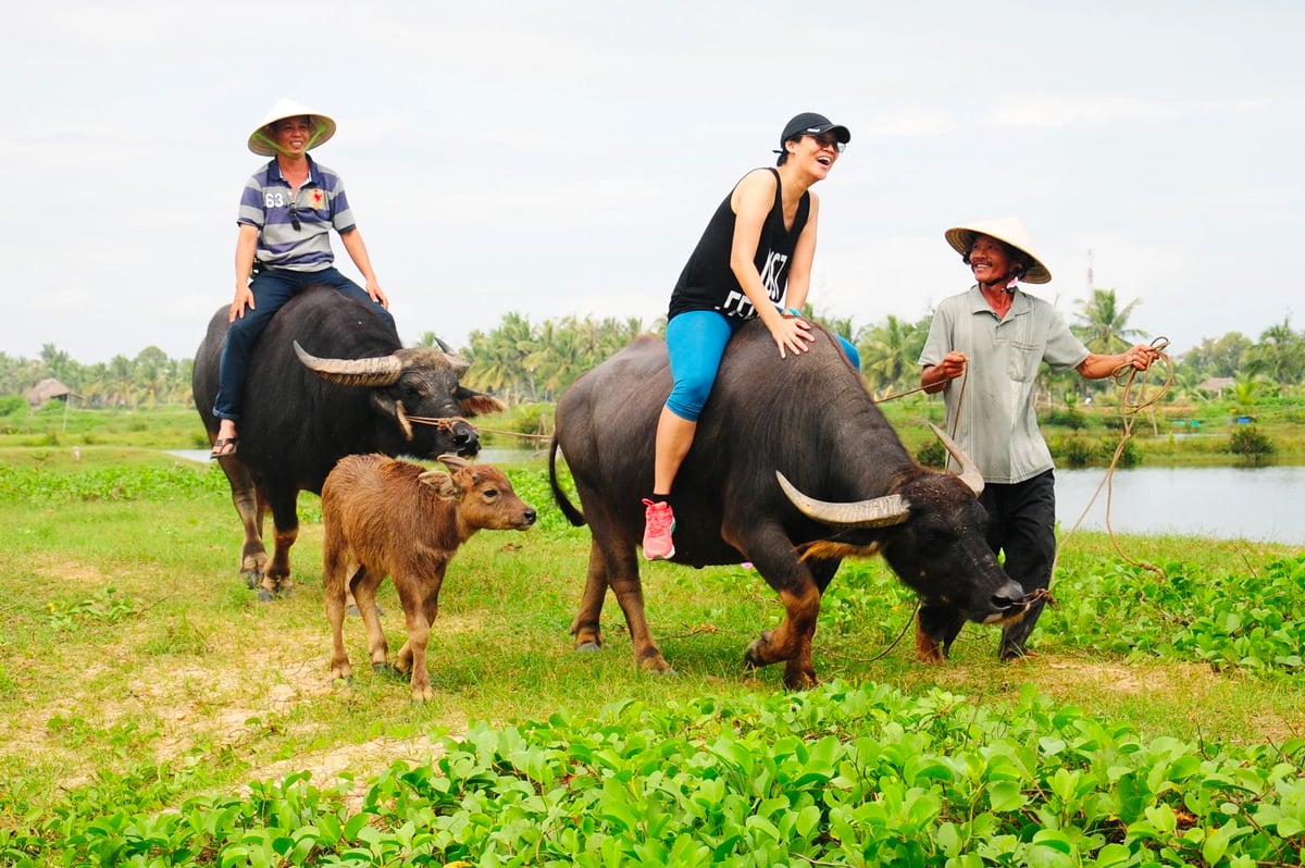 Mon expérience d’une balade à vélo à Cam Thanh et Tra Que | Hoi An