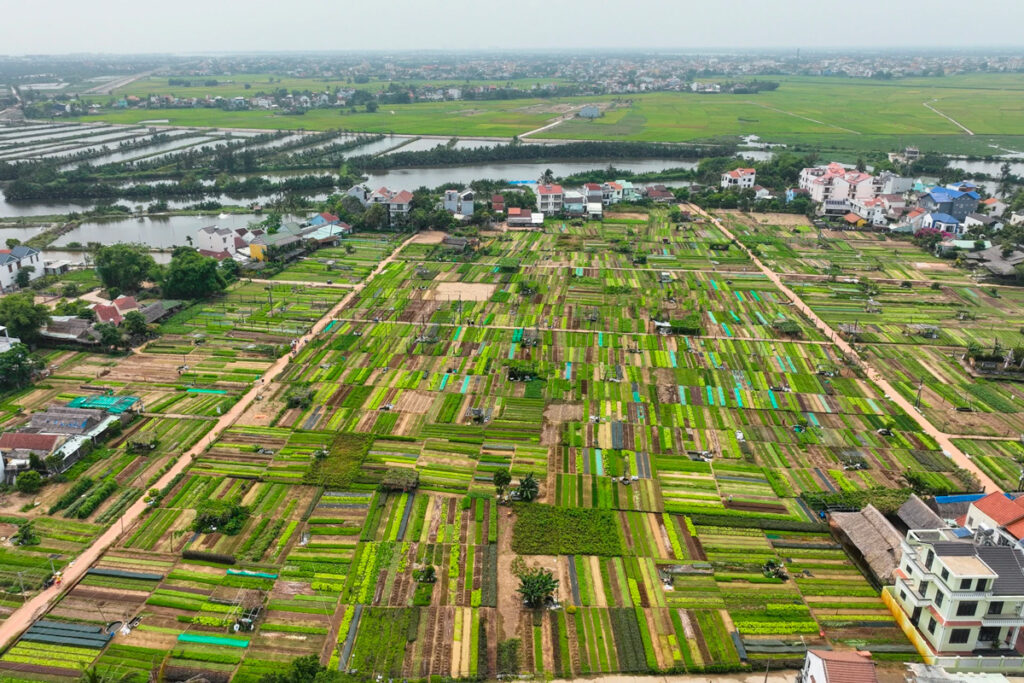 village de tra que hoi an 9